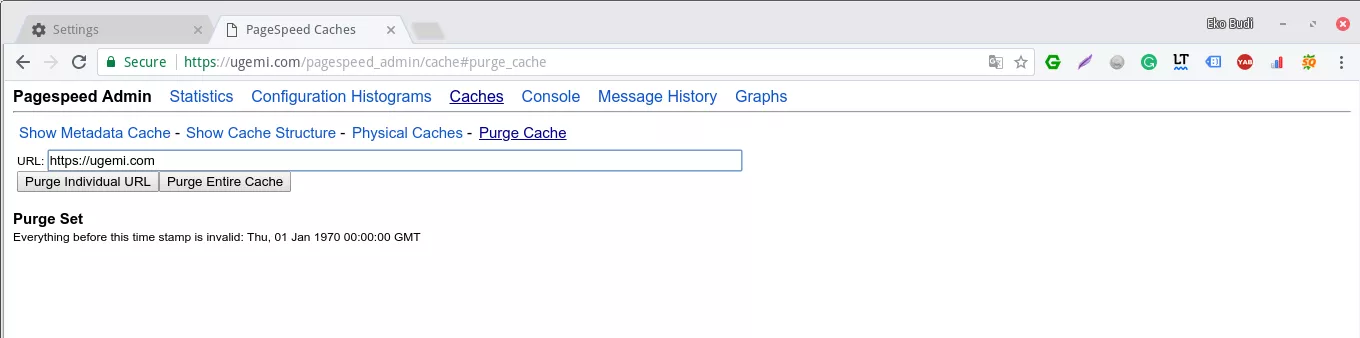 Google Pagepseed Cache